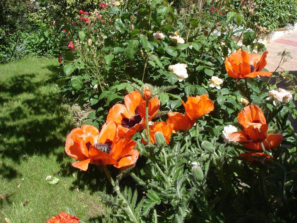 Bed and Breakfast Couette Et Cafe Creme Le Coudray Exterior foto